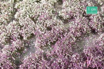 Kępki kwiatowe - fioletowy biały