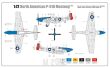 P-51D Mustang - 3