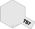 TS-7 Racing White