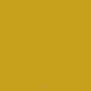 755 Polished Gold