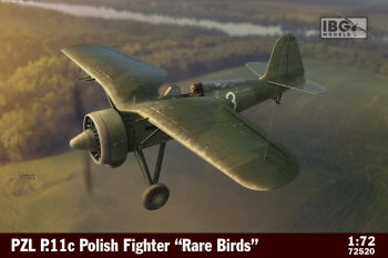 PZL P.11C Rare Birds