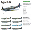 Spitfire Mk.XVI - 2