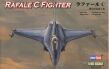 Rafale C Fighter - 2