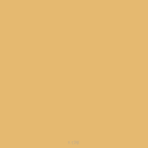 009 Sand Yellow
