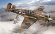 Curtiss Tomahawk Mk.IIB - 4