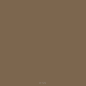 142 US Field Drab