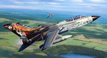 Tornado IDS