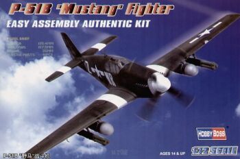 P-51B Mustang