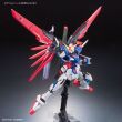 RG 1/144 DESTINY GUNDAM - 5