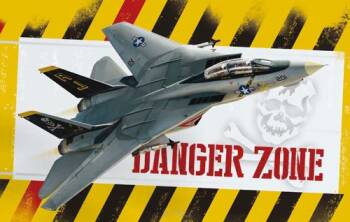 F-14A Danger Zone
