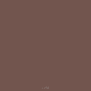 138 Saddle Brown