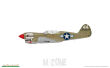 P-40N Warhawk - 20