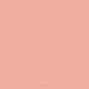 037 Salmon Rose