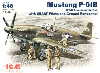 Mustang P-51 B American Fighter