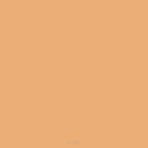 020 Sunny Skintone