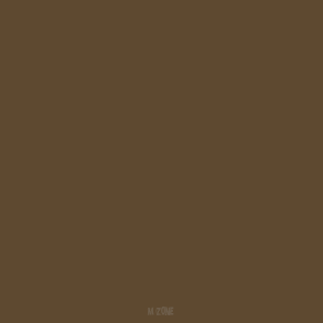 743 Beasty Brown