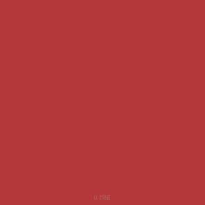 029 Red