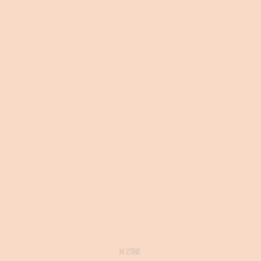 006 Light Flesh