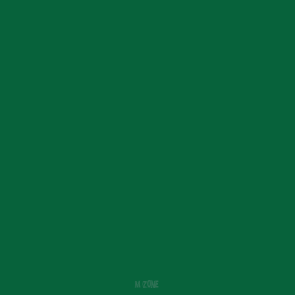 70346 Splinter Blotches I