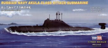 Russian Navy Akula Class