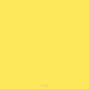 010 Light Yellow