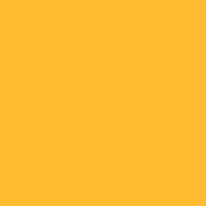 015 Flat Yellow