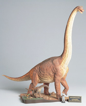 Brachiosaurus Diorama