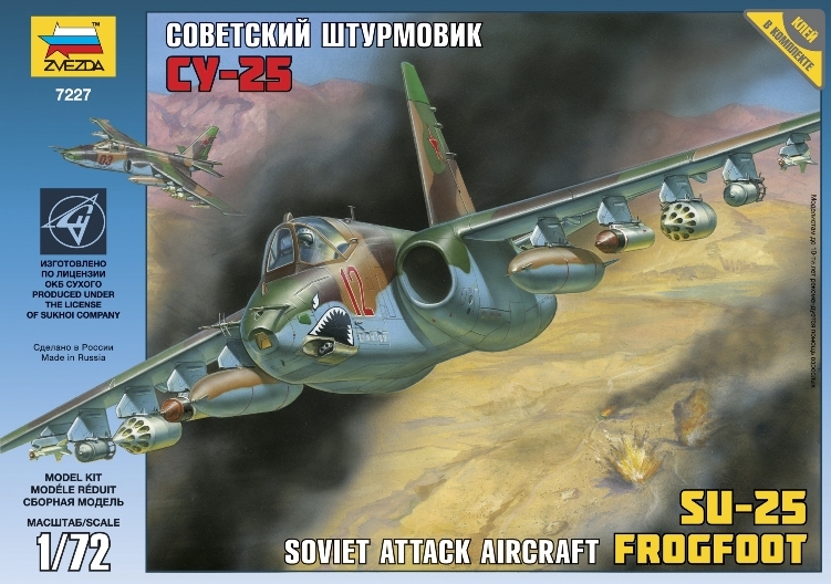 SU-25 Frogfoot