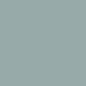 064 Pale Blue