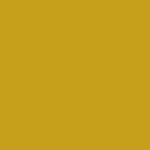 755 Polished Gold