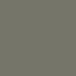 101 Green Grey