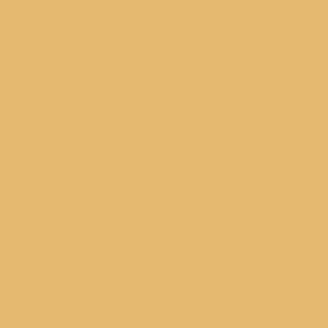 009 Sand Yellow