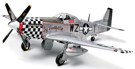 P51D 8th A.F Aces