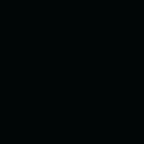 751 Black