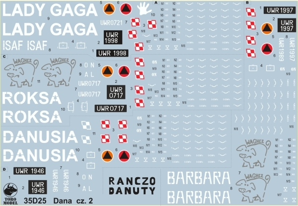 Polskie DANY w Afganistanie