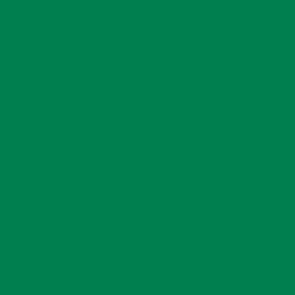 073 Park Green Flat