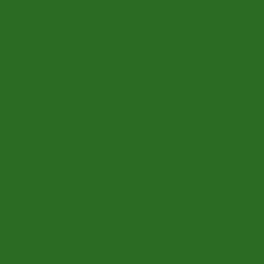 081 Medium Olive