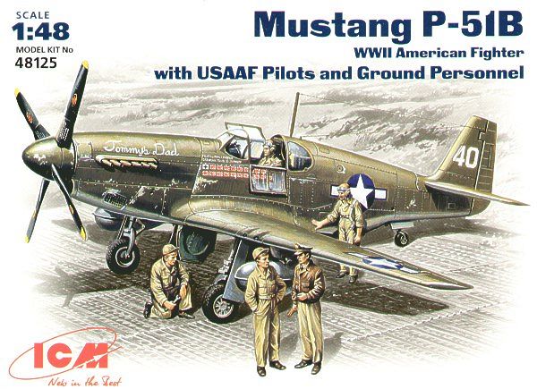 Mustang P-51 B American Fighter