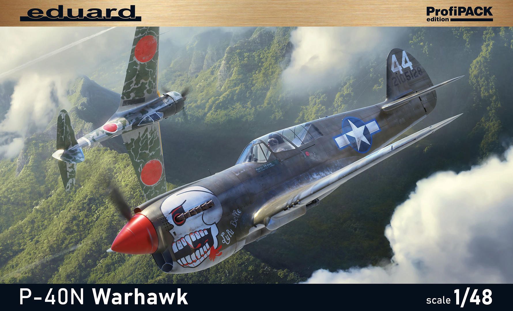 Warhawk P-40N